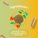 🔥 Recupera tu energía, elimina el estrés y transforma tu bienestar en pocos días con ASHWAGANDHA HERBALS & HEALTH 🔥